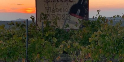 Weinbild